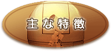 主な特徴